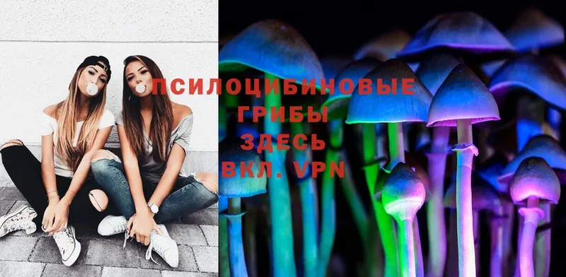 Псилоцибиновые грибы Magic Shrooms  дарнет шоп  shop состав  Кедровый 